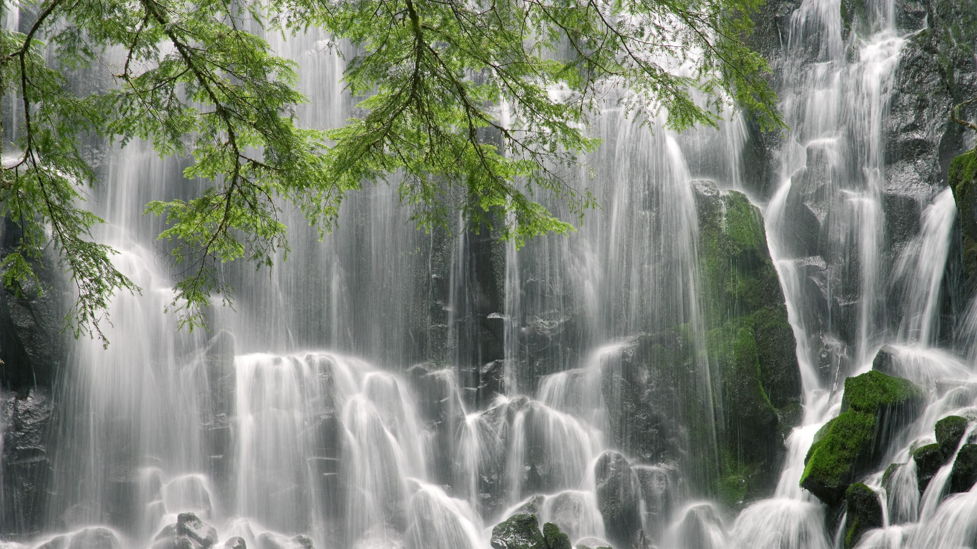 “荒野追逐：沙漠、山林的极限对抗”，荒野 沙漠