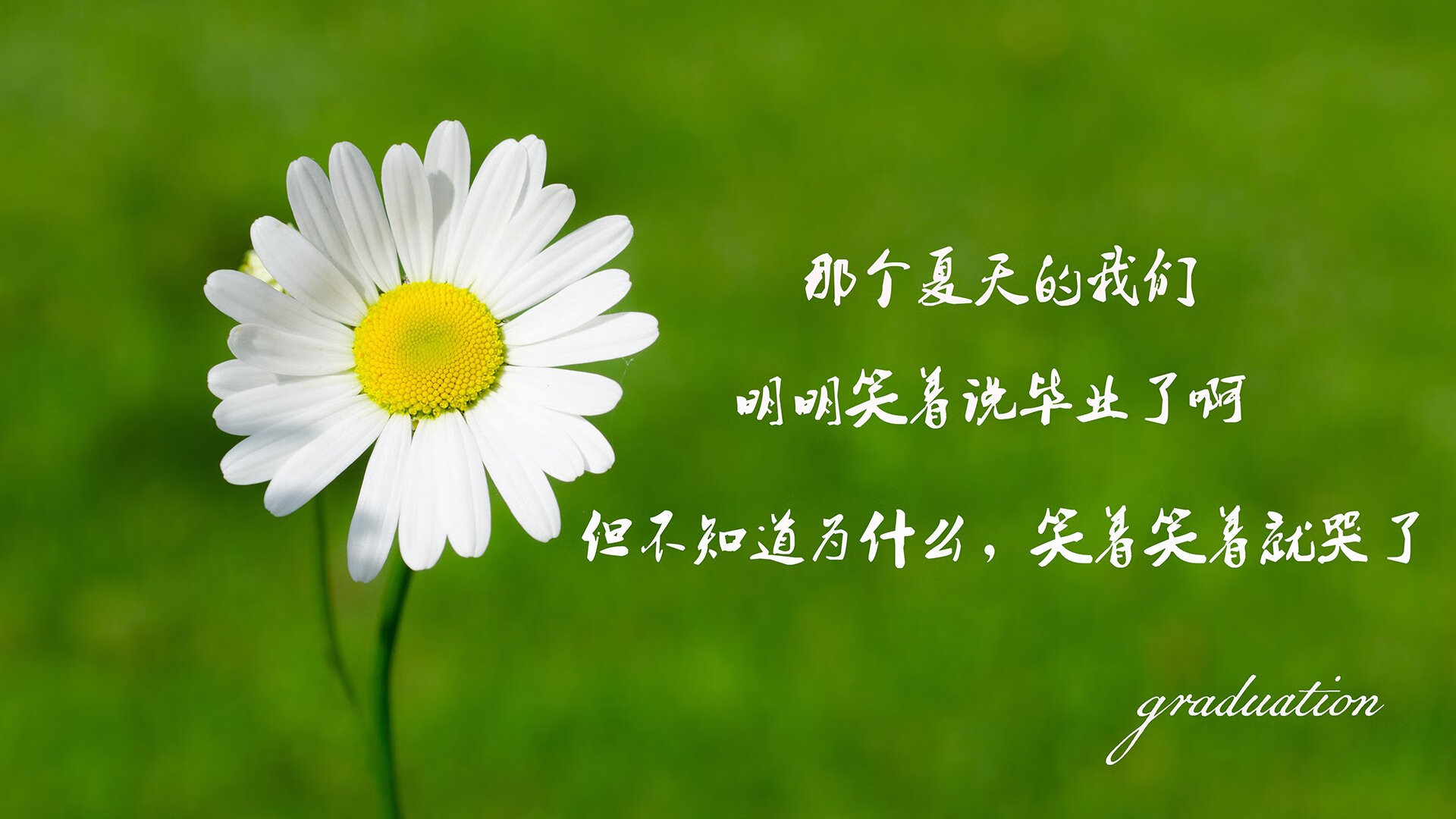 CBA赛场上的精彩瞬间：球员飞身扣篮引爆现场，cba扣篮王是谁