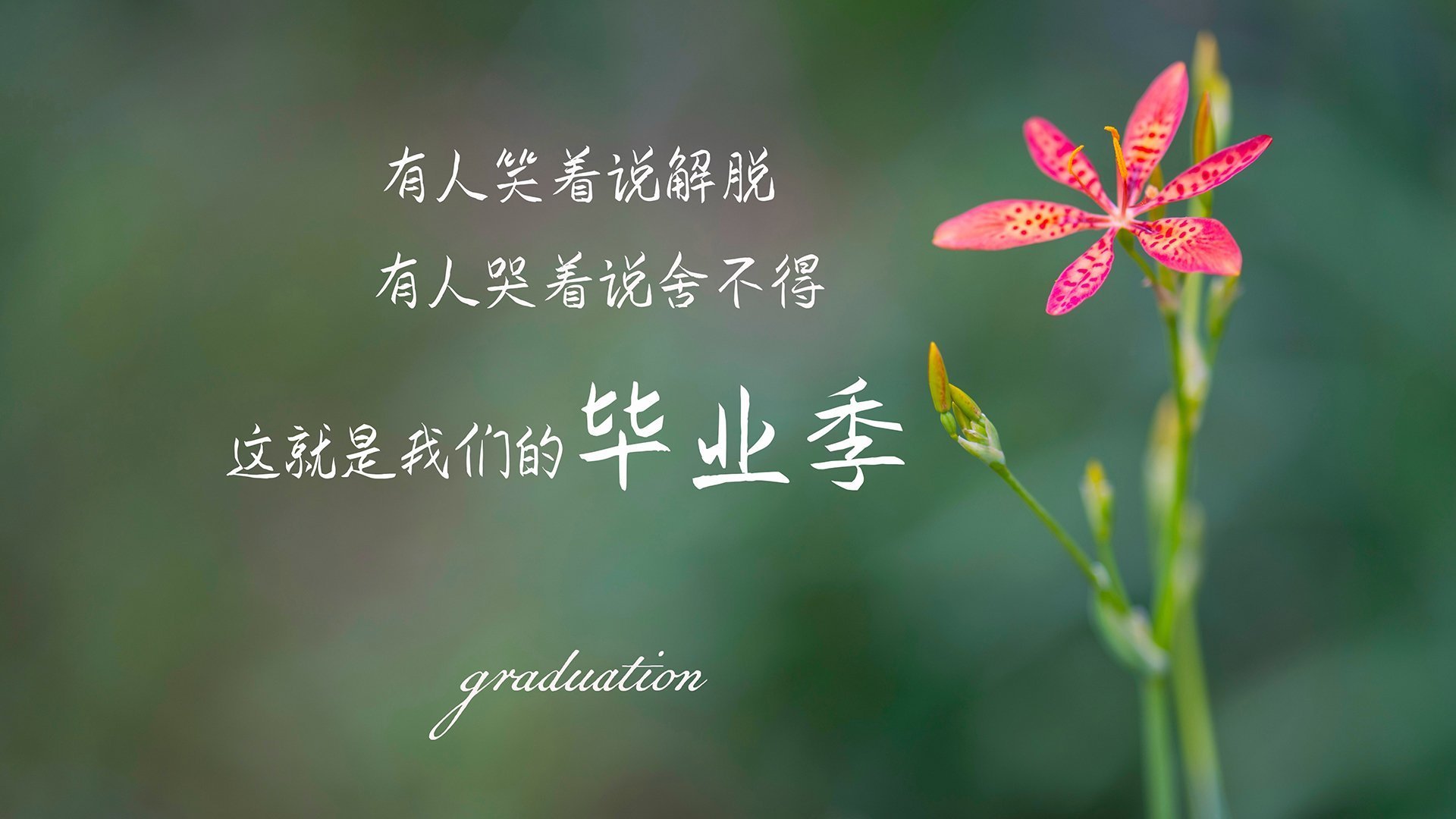 保利斯塔新秀球员崭露头角，塔利斯卡保利尼奥啥时候可以回中超