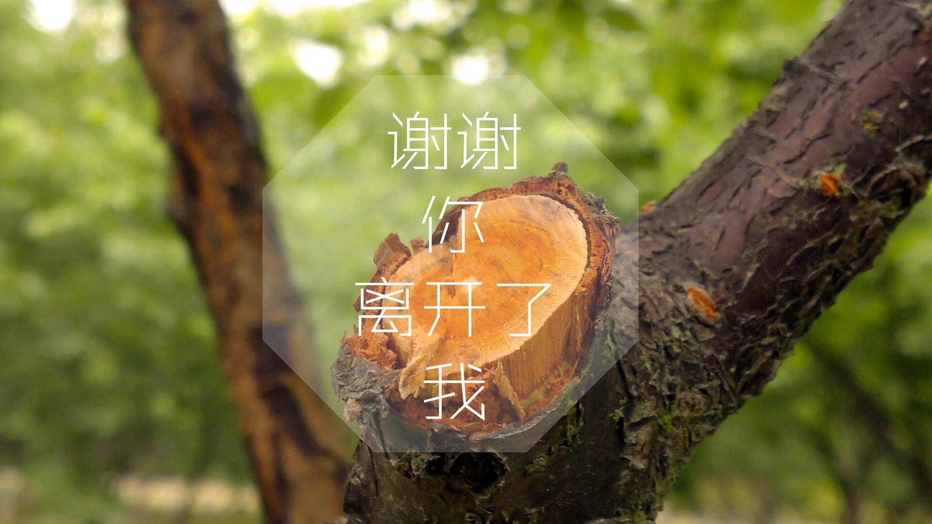 九游下载安装-墨西哥队在巴黎奥运会比赛中展现出高效的快攻配合，墨西哥vs巴西奥运男篮