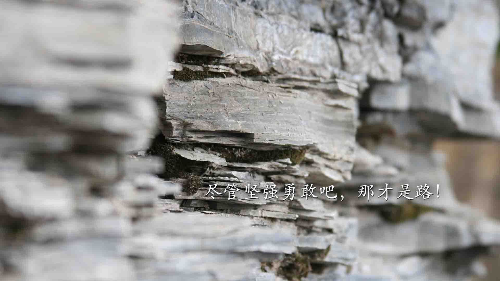 九游（jiuyou.com）游戏-战术对战：两队智慧较量，胜负不分，战术对抗表演