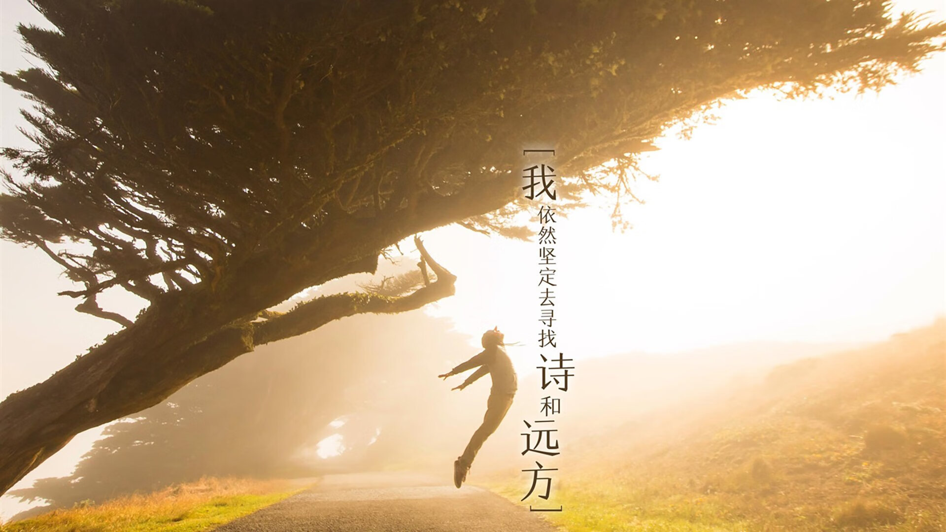 九游jiuyou-中国三人篮球男队全员参与战术制定，中国三人篮球男队全员参与战术制定了什么