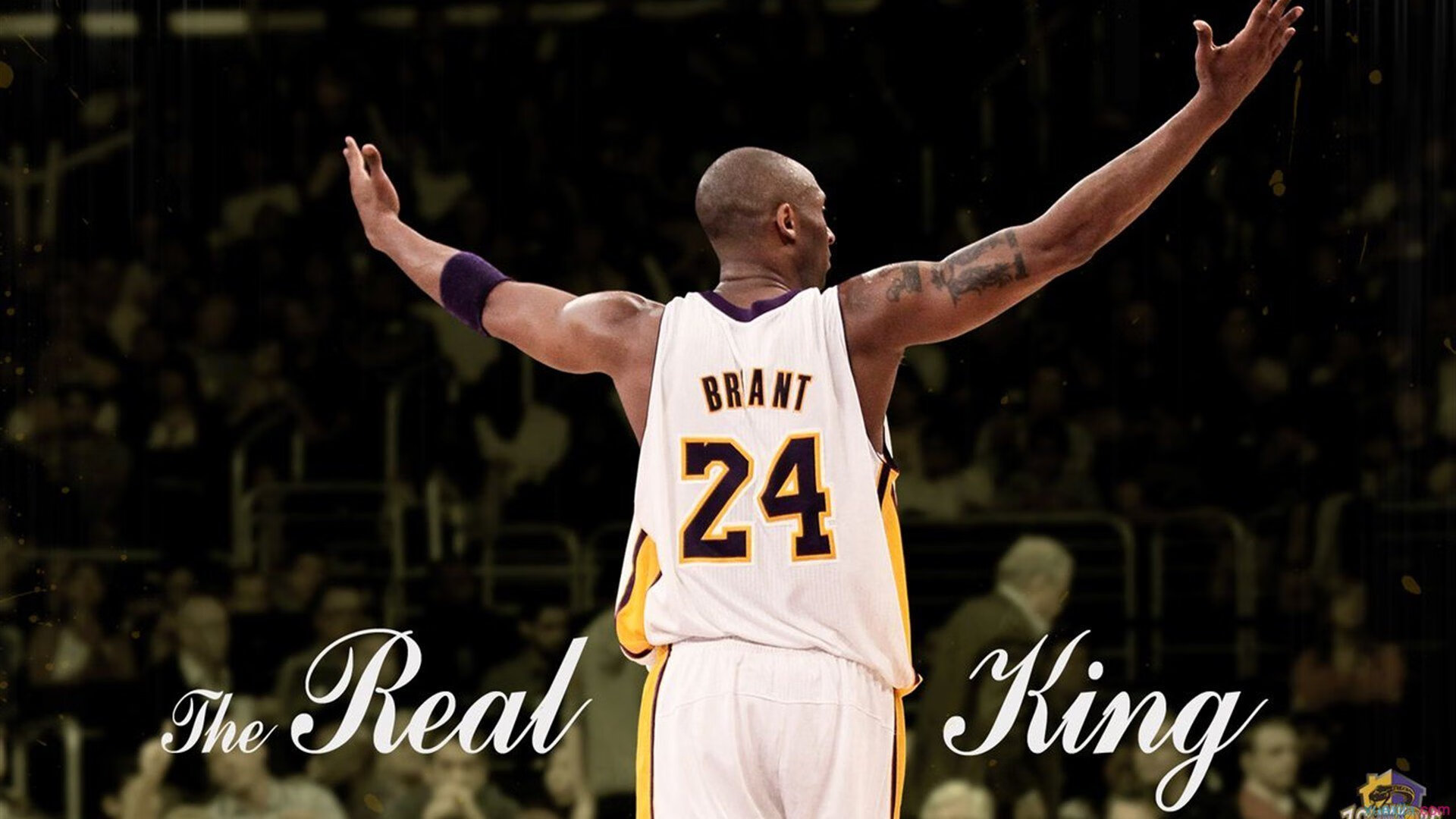 _爵士攻防兼备，排名不断攀升_，爵士nb