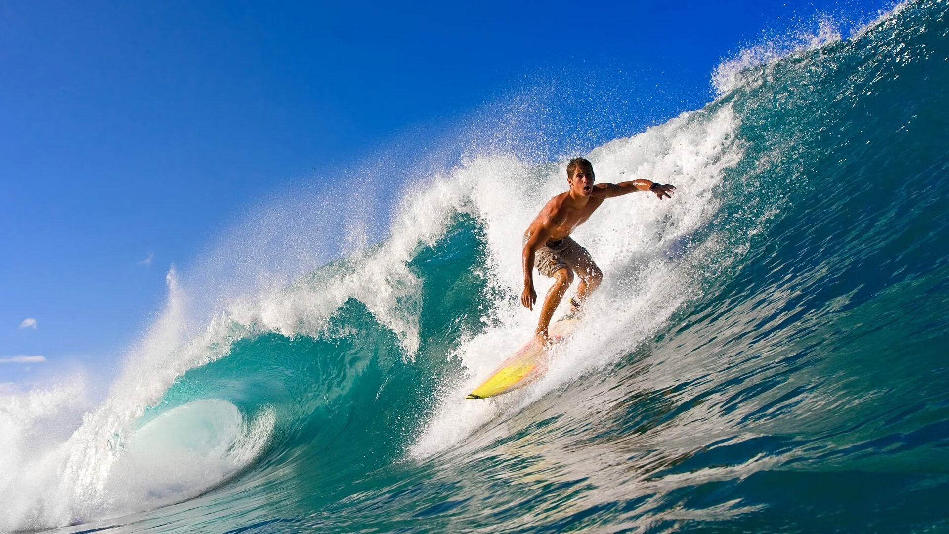 _田径运动科学研究：提升运动表现的最新技术_，田径训练是提升哪些